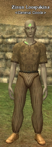 File:Zinun Loospakina.png