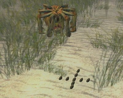 X Marks The Spot