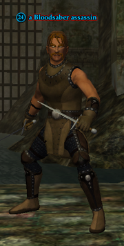 A Bloodsaber assassin (human)