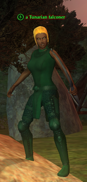 A Tunarian falconer (human)
