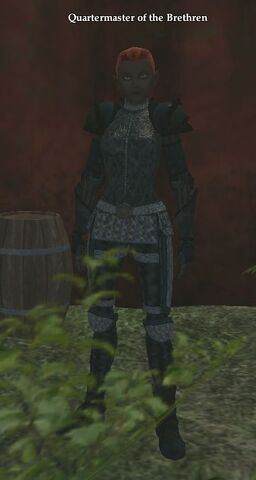 File:Quartermaster of the Brethren.jpg
