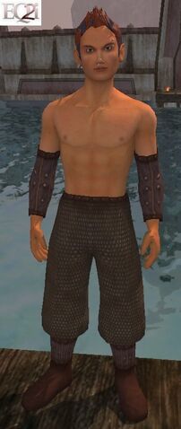 File:Bruiser's Vest (Visible, Male).jpg