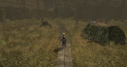 Peat Bog - wooden path