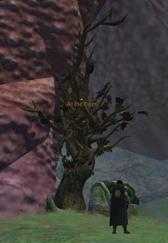 File:Ail the Elder.jpg