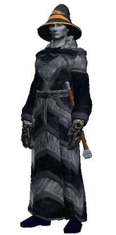 File:Arcane Champion's Robes (Visible).jpg