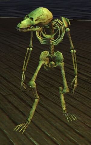 File:Undying Adherent (Apprentice).jpg