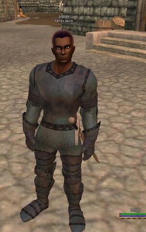 File:Squire.jpg