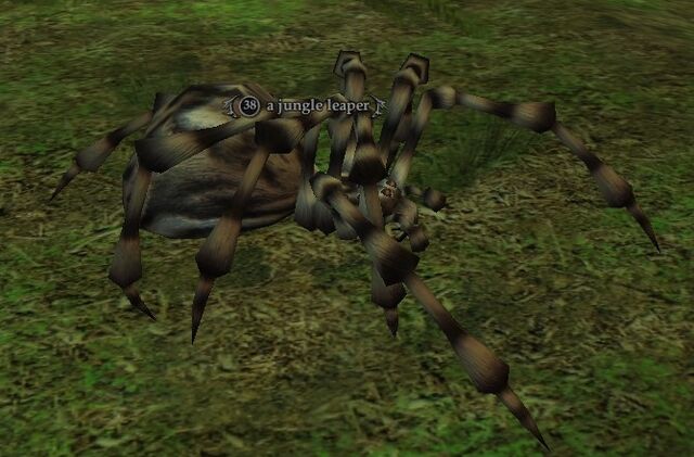 File:A jungle leaper.jpg