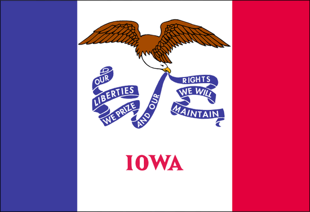 File:Iowa Flag.png