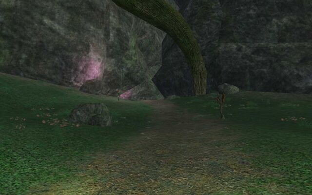 File:Lesser Faydark Road.jpg