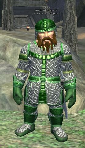 File:Irontoe guard.jpg