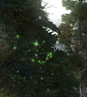 Pine Souls (living leaves)