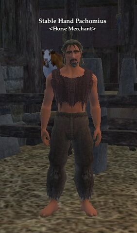 File:Stable Hand Pachomius.jpg