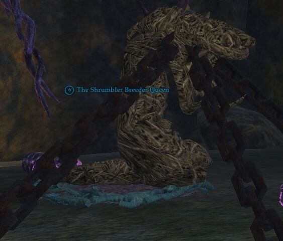 File:The Shrumbler Breeder Queen.jpg