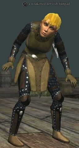 File:Weakened dervish footpad.jpg