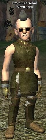 File:Brom Knotwood.jpg