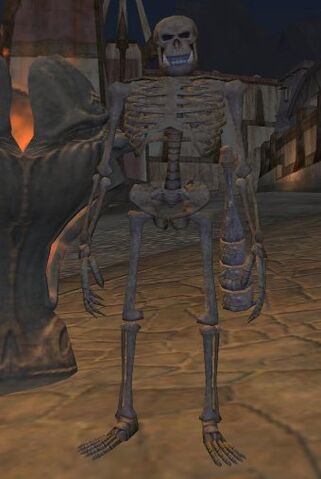 File:Undying Adherent (Master).jpg