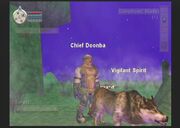 Chief doonba