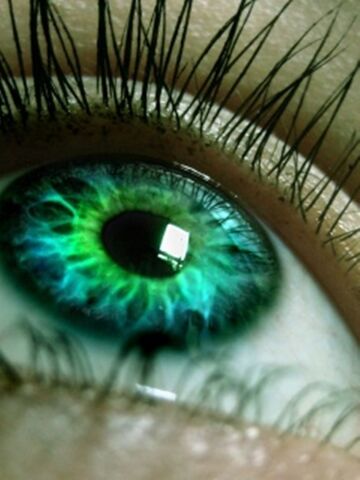 File:Green eyes.jpg