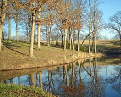 File:Pond3.jpg