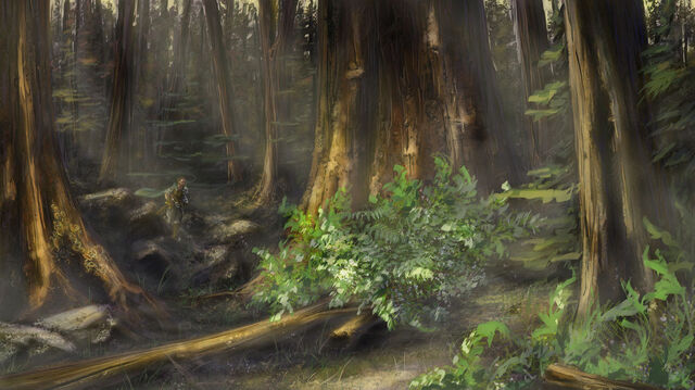 File:Sc02 ForestPanorama.jpg