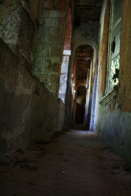 The Corridor by Sensible