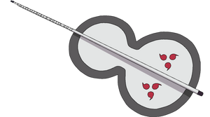 Gunbai