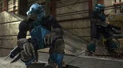 Brutes