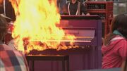TPPP15-Piano-Purpura-Llamas.jpg