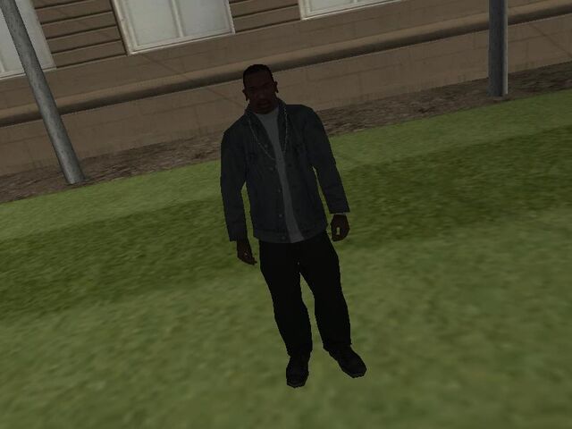 Archivo:Formal 2.jpg