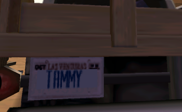 Archivo:Tammy.png
