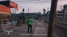 Lamar 9