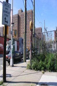 Brownsvillebk.jpg