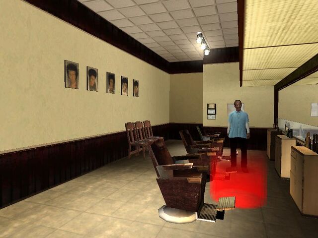 Archivo:Receeshair int.jpg