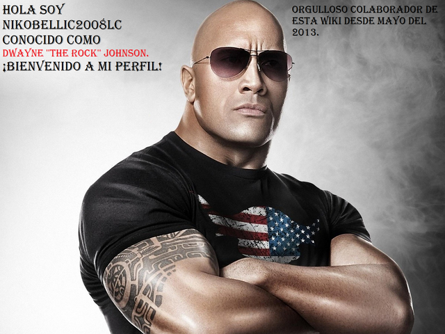 Archivo:Bienvenida NIKOBELLIC2008LC.png