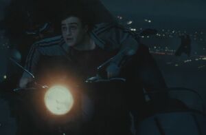 P7 Hagrid+Harry perseguidos.jpg