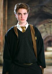 P4 Cedric Diggory.jpg