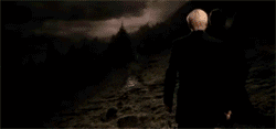 Bellatrix-incendio.gif