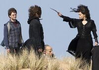 Harry Potter, Hermione Granger (disguised as Bella) and Ron Weasley.jpg