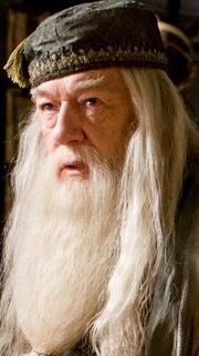 P6 Dumbledore.jpg