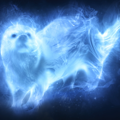 Nutria Patronus.png