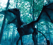 P5 Thestral.gif