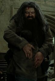 Hagrid hugs Harry.jpg