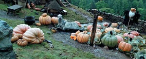 Pumpinks Hagrid POA 1.jpg