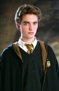 Cedric-Diggory-promo-pics-hufflepuff-28197938-365-520.jpg