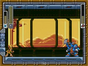Gravity beetle fight