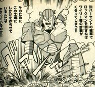 JunkIkehara