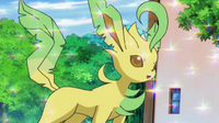 EP624 Leafeon de Zoe.png