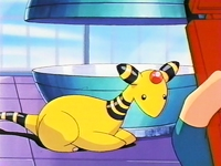 EP210 Ampharos de Yasmina