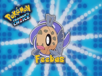 EP407 Elección.png